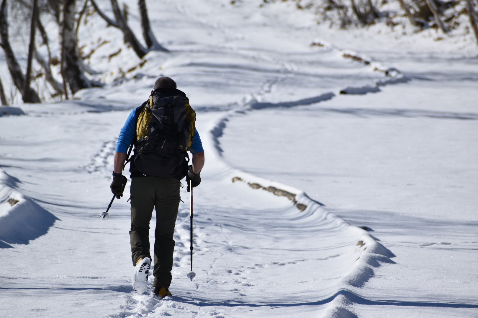 Mangia e cammina 2026 - Adulto